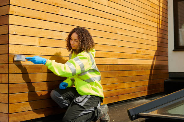 Best Siding Removal and Disposal  in Meiners Oaks, CA
